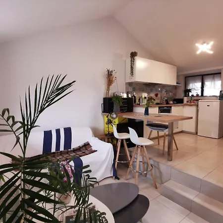 Hebergeneve Les Terrasses Apartment *