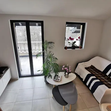 Hebergeneve Les Terrasses Apartment