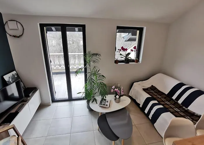 Hebergeneve Les Terrasses Apartment